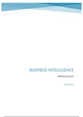 werkcolleges business intelligence