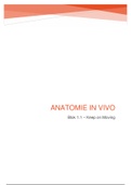 Anatomie in Vivo (blok 1.1) 