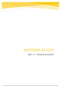 Anatomie in Vivo (blok 1.3)