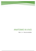 Anatomie in Vivo (blok 1.4)