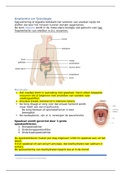 Anatomie en fysiologie spijsvertering (Blok 1)