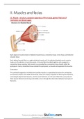 2. muscles and fascia 