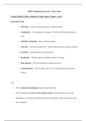 NR283 Exam 1 Study Guide / NR 283 Exam 1 Concept Review (2020, 2 Versions): Pathophysiology : Chamberlain College of Nursing