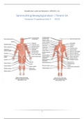Samenvatting Bewegingsanalyse Anatomie - Propedeuse