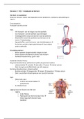De mens 3 - fysiologie P1 hoorcolleges