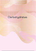INSIGHT ON CARBOHYDRATES