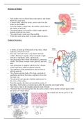 Kidneys and Osmoregulation