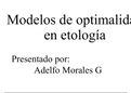 Modelos de optimización en etología