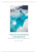Sociological Perspectives  unit 10 assignment two (DISTINCTION LEVEL)