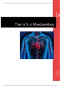 Anatomie Hart en bloedvaten. 