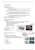 Summary Behavioral Neurosciences