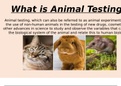 Unit 5 Assignment 1 - Perceptions of Science (Powerpoint) Animal Testing. 