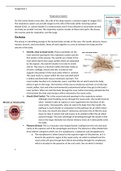 Unit 11 Physiology Assignment 2. Respiratory system.