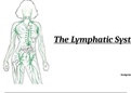 Unit 11 Physiology Assignment 4 The Lymphatic System Powerpoint