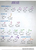Amino Acid Cheat Sheet