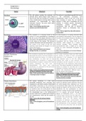 Unit 15 - Microbiological Techniques Assignment 1 (Merit)