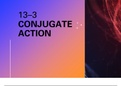 13–3 Conjugate Action