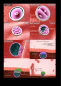 Embryologie fotoboek Embryology Photobook