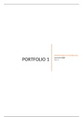 Portfolio 1 - POW