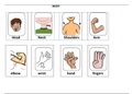 Flashcards of Body, Face and Organs for teaching English online or in class