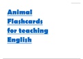 Flashcards of Animals (Pets, Wild, Farm, Sea, Insects) for teaching English online or in class