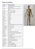 Anatomie P1 samenvatting
