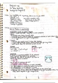 PHY 1151 Notes -- ALL CHAPTERS