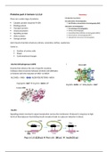protein purification methods (4 lectures)