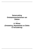 Samenvatting - Ontstaansmechanismen van Ziekten - A. Wilmer - E. Van Wijngaerden - C. Vandenbriele - S. Vanderschueren