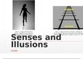 Senses and Illusions - Human Body Presentation