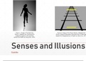Senses and Illusions - Human Body Presentation