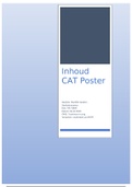 Cat Poster owe 7