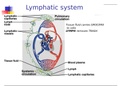NURSING_Lymphatic System.