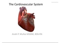 The Cardiovascular System