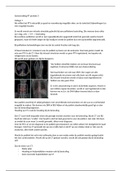 Samenvatting radiotherapie colleges/werkcolleges/zelfstudietaken leerjaar 1 periode 3