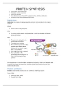 Grade 12 Biology: Protein Synthesis 