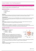 Kennisexamen - Anatomie en fysiologie