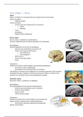 Samenvatting Taal en het Brein hoorcolleges 1-9 