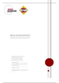 Adviesrapport invulling activiteitenkalender Scope