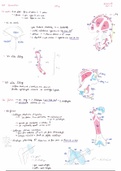 PACES fiches UE5 Anatomie