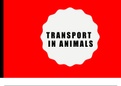 OCR A-Level Biology A - Transport in Animals