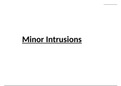 2.7 Minor Intrusions (Chapter 2: Igneous Rocks and Processes)