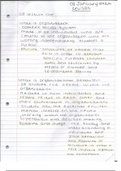 Organisational Behaviour handwritten lecture notes and essay help.