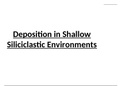3.14 Deposition in Shallow Siliciclastic Environments (Chapter 3: Sedimentary Rocks and Processes)