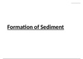3.1 Formation of Sediments (Chapter 3: Sedimentary Rocks and Processes)