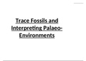 5.3 Trace Fossils and Interpreting Palaeo-Environments (Chapter 5: Fossils and Time)
