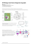 LEVEL 7 IB Biology MUST-KNOW diagrams & graphs SL/HL   Option D