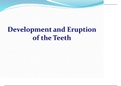 Development and Eruption of Teeth