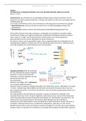 Microbiologie bacteriologie&colon; uitgewerkte voorbeeldvragen