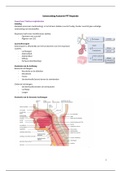 Samenvatting anatomie respiratie 
